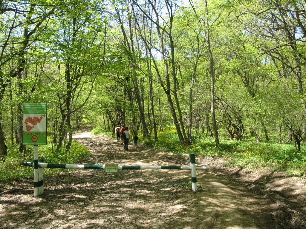 Резервне з panoramio.com (ч.4) - Резервное