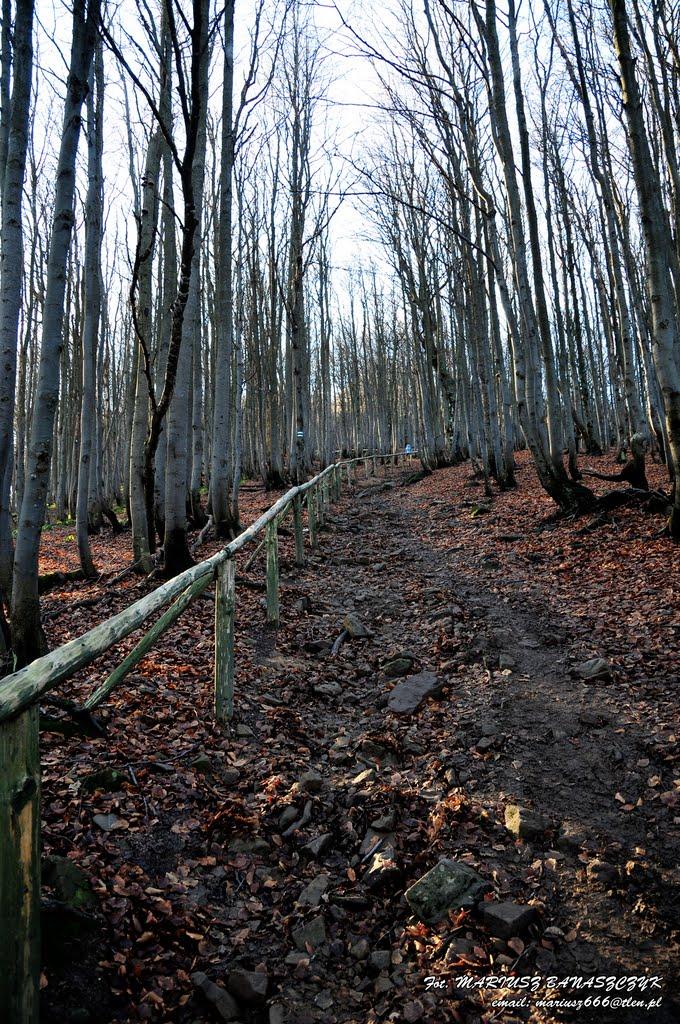 Стужиця з panoramio.com (ч.2) - Стужиця