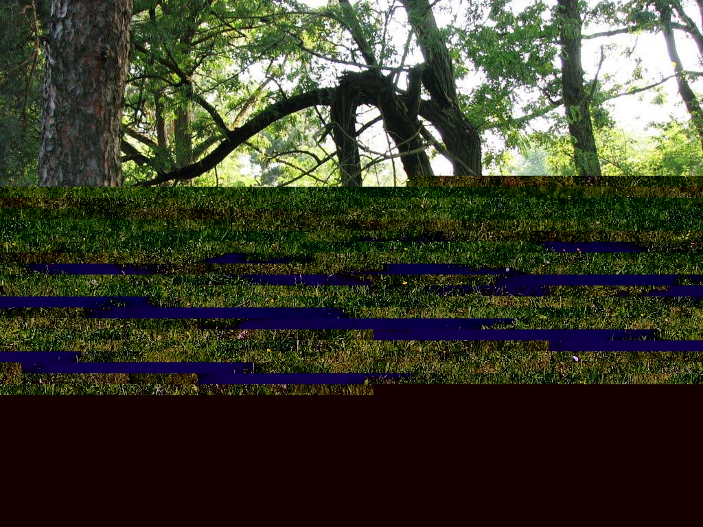 Центральне з panoramio.com - Центральне