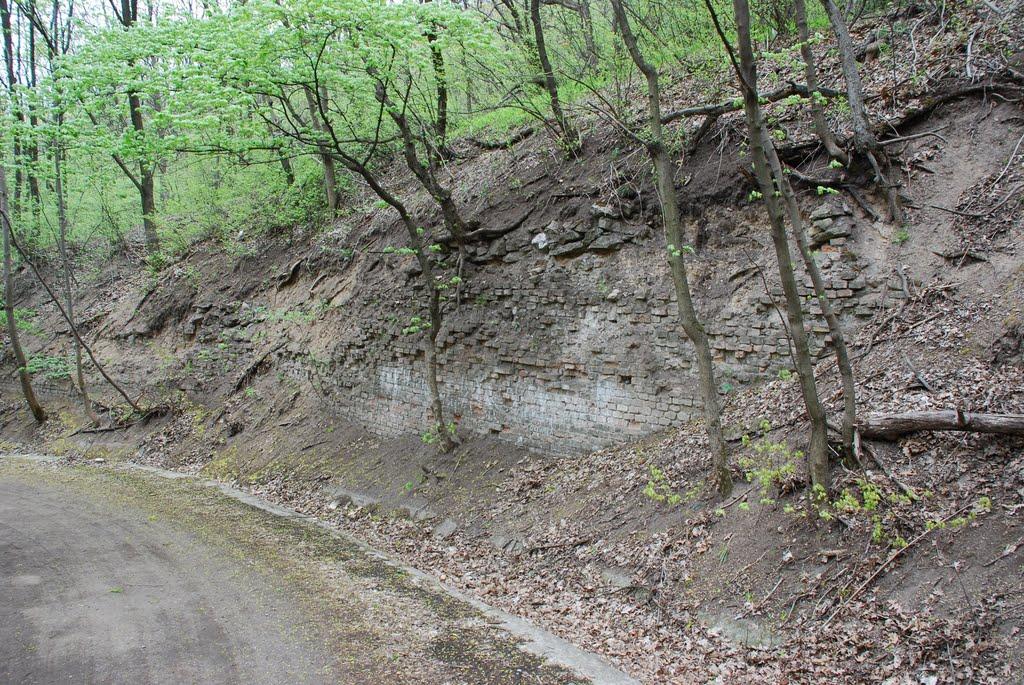 Тетянівка з panoramio.com (ч.2) - Тетянівка