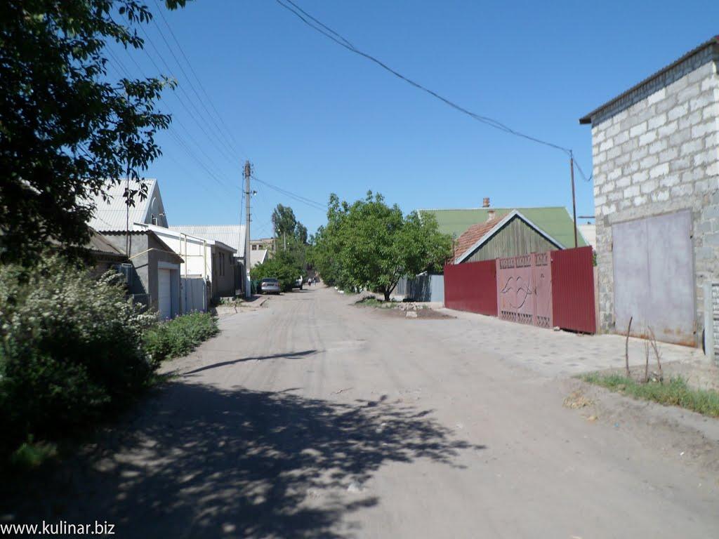 Мелітополь з panoramio.com (ч.2) - Мелітополь