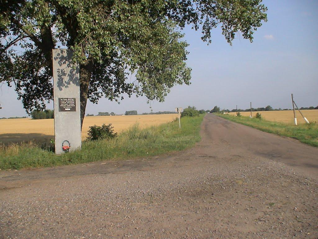 Литвиновичі з panoramio.com - Литвиновичі