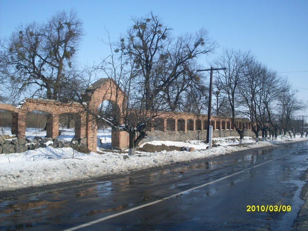 Дашів з panoramio.com - Дашів