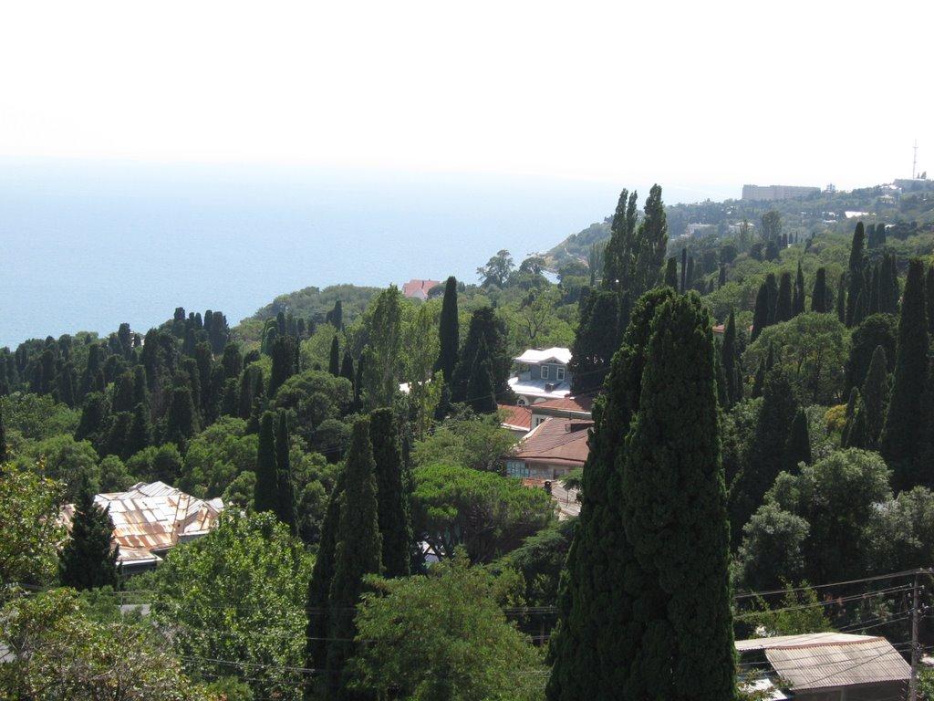 Алупка з panoramio.com (ч.3) - Алупка