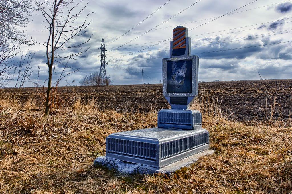 Хмельницький з panoramio.com (ч.13) - Хмельницкий