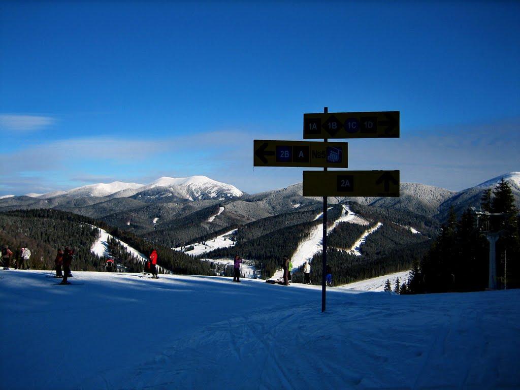 Паляниця з panoramio.com (ч.4) - Паляниця