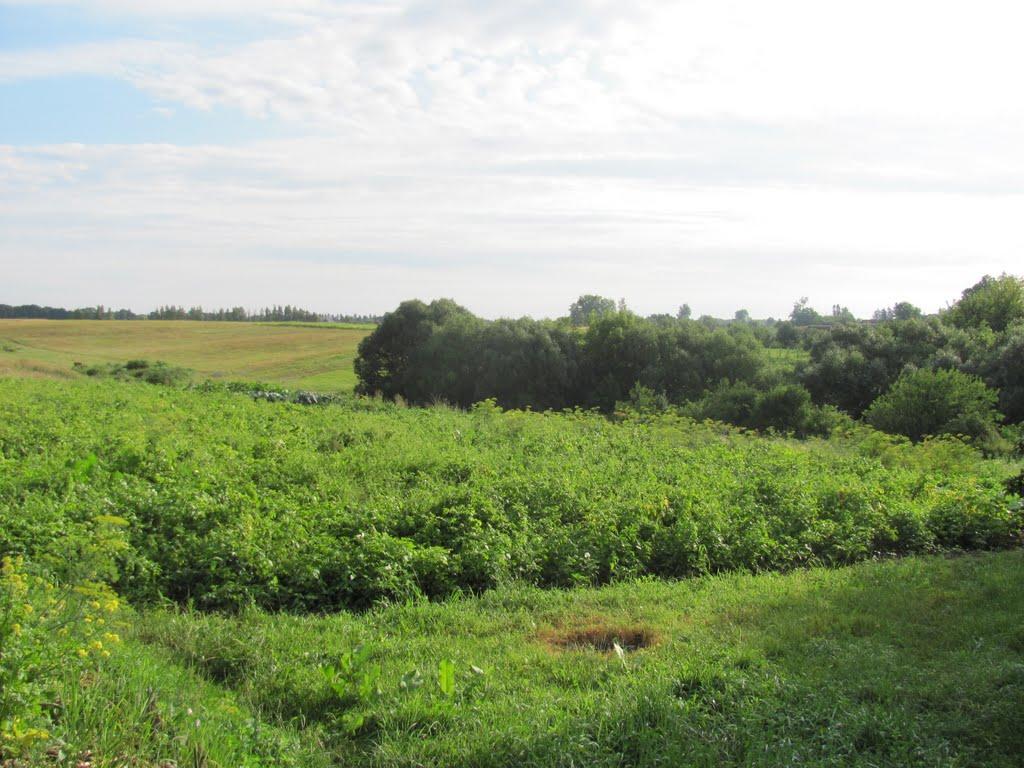 Новичі з panoramio.com - Новичи