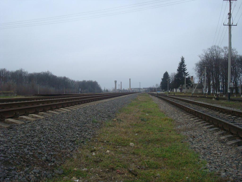 Пашківці з panoramio.com - Пашковцы