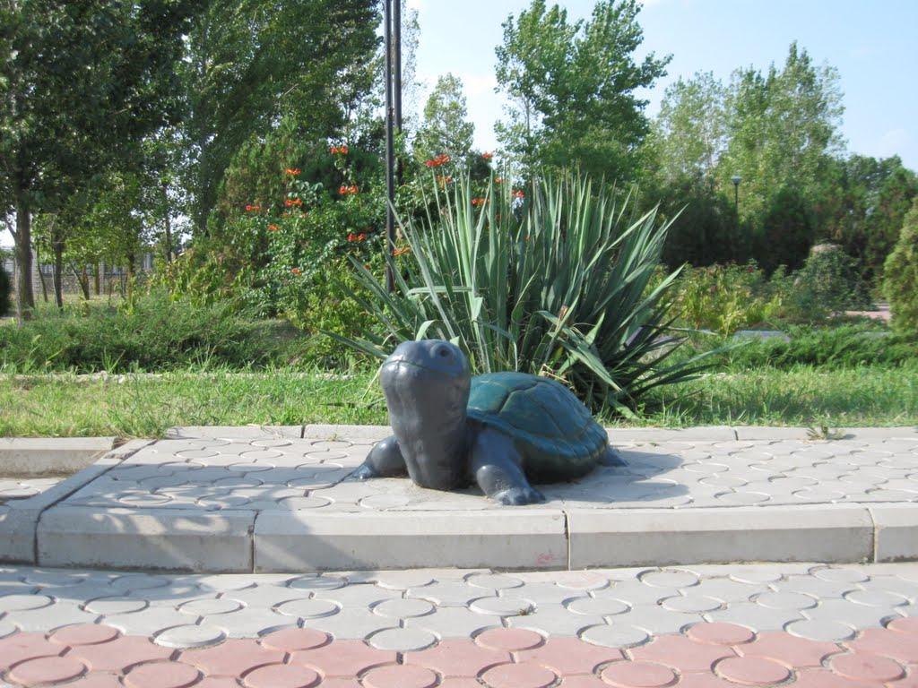 Лазурне з panoramio.com - Лазурне