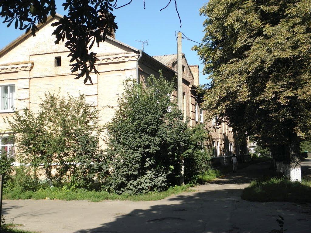 Золотоноша з panoramio.com - Золотоноша