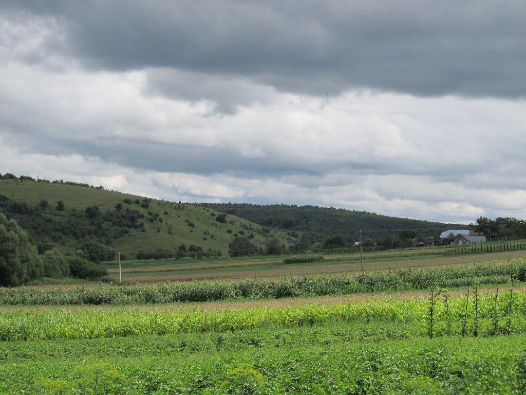 Подусільна з panoramio.com - Подусільна