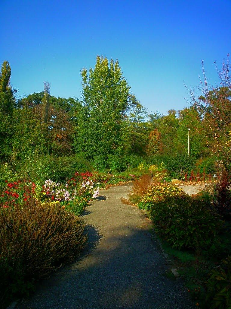 Сімферополь з panoramio.com (ч.13) - Симферополь
