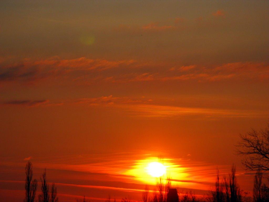 Шкільне з panoramio.com - Шкільне