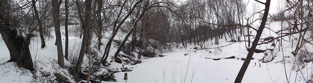 Шишаки з panoramio.com - Шишаки