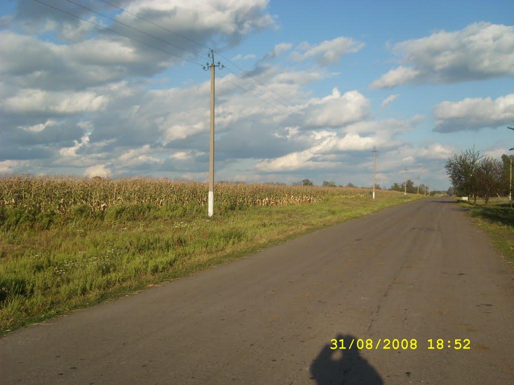 Ленінка з panoramio.com - Leninka