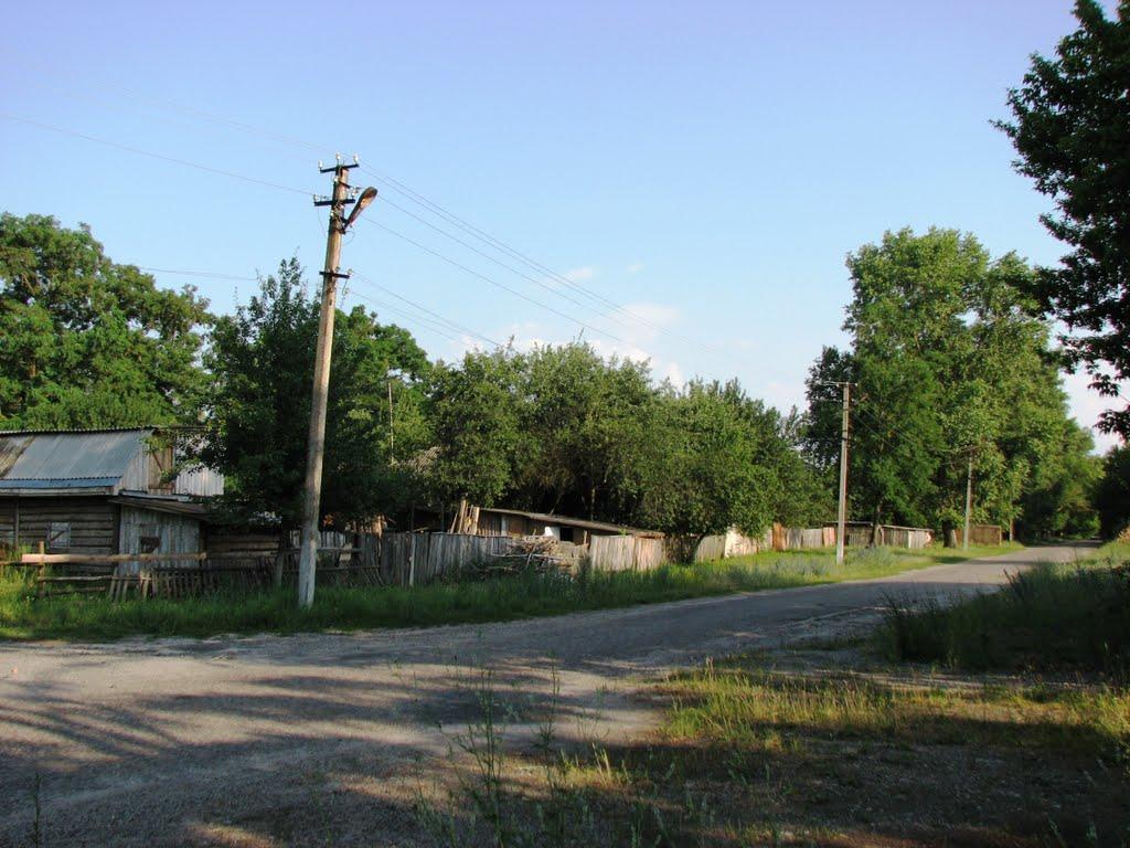 Центральне з panoramio.com - Центральне