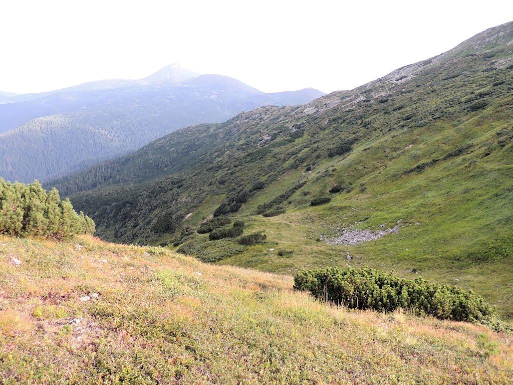 Говерла з panoramio.com (ч.2) - Говерла