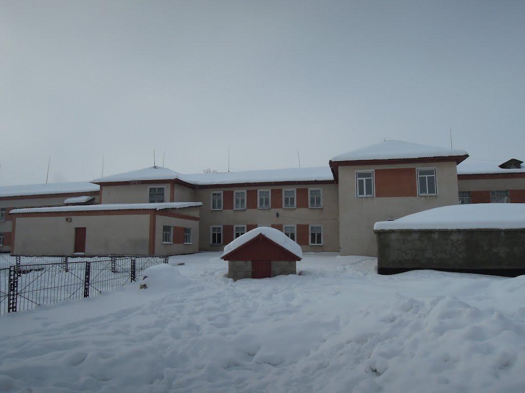 Червоноармійськ з panoramio.com - Пулини