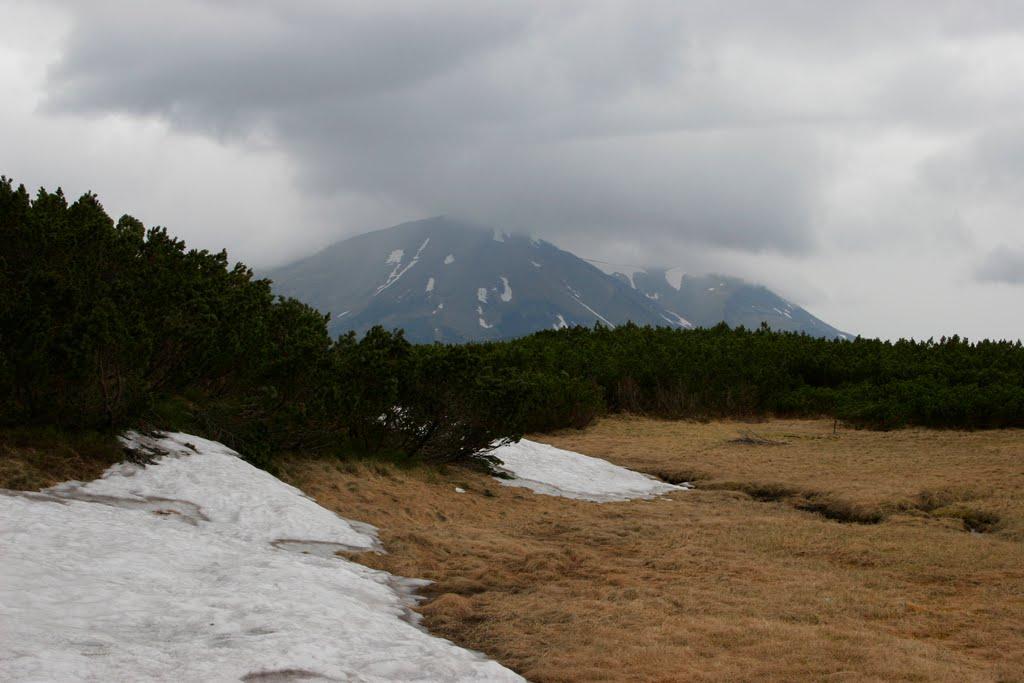 Говерла з panoramio.com (ч.2) - Говерла