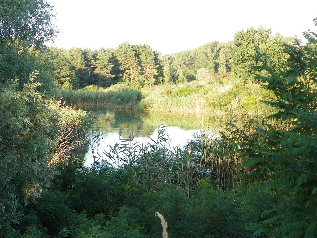 Чехівка з panoramio.com - Чехівка