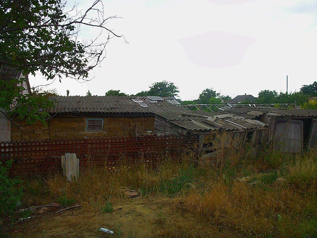 Шевченкове з panoramio.com - Шевченково