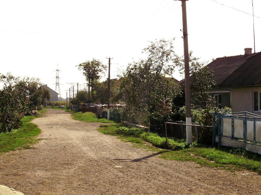 Черниця з panoramio.com - Черниця