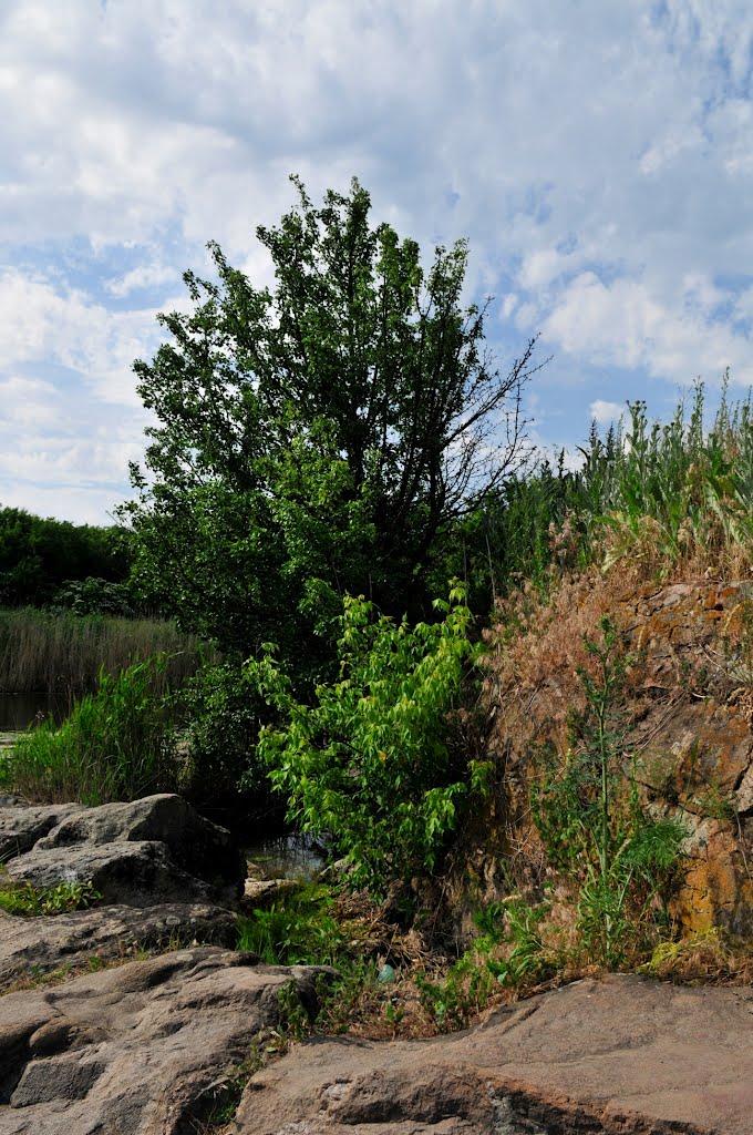 Валове з panoramio.com - Софіївка