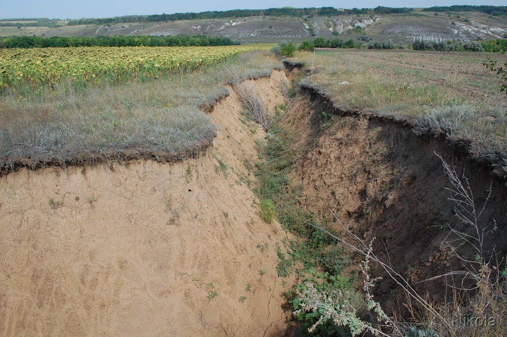 Співаківка з panoramio.com - Спеваковка