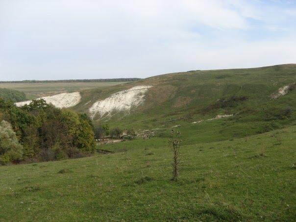 Іванівці з panoramio.com - Іванівці