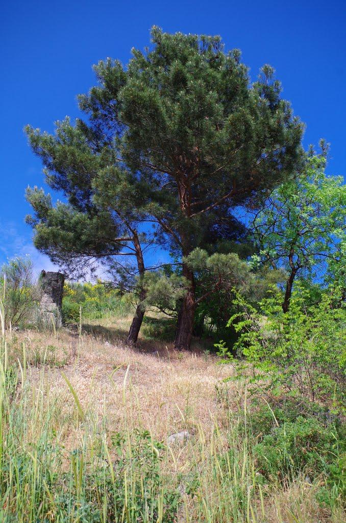 Алушта з panoramio.com (ч.3) - Алушта