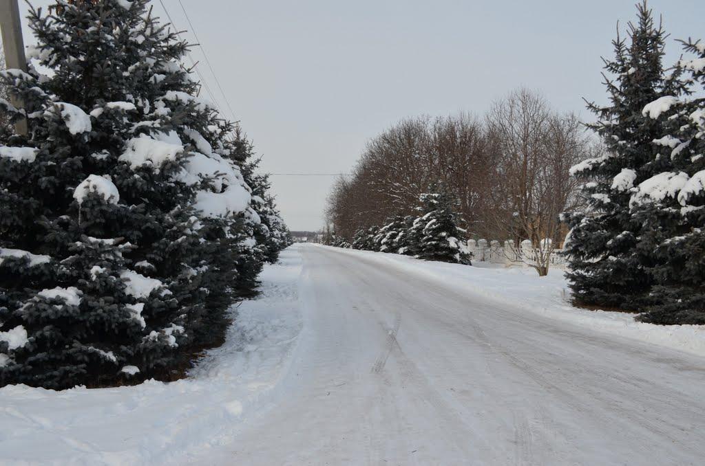 Рижавка з panoramio.com - Рыжавка
