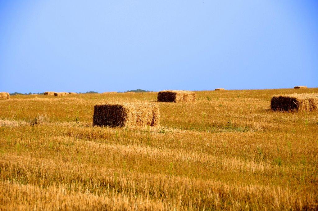 Деремезна з panoramio.com - Deremezna