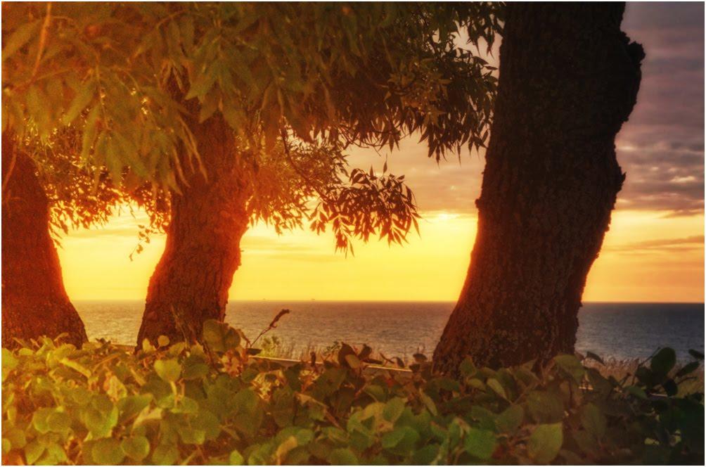 Грибівка з panoramio.com - Грибівка