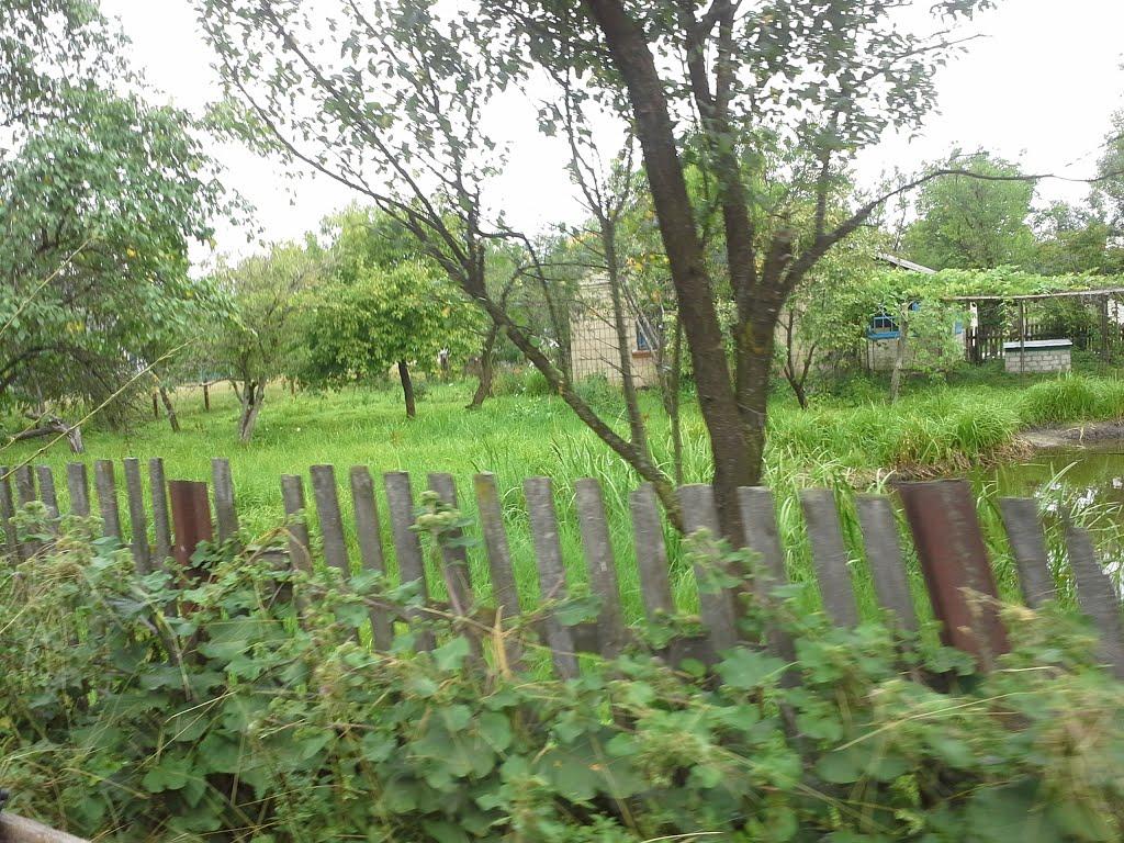 Сошники з panoramio.com - Сошники