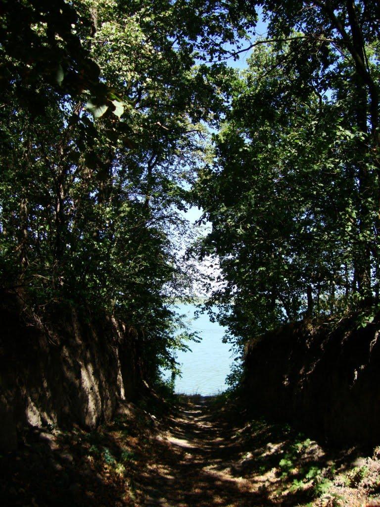 Березова Рудка з panoramio.com - Березовая Рудка