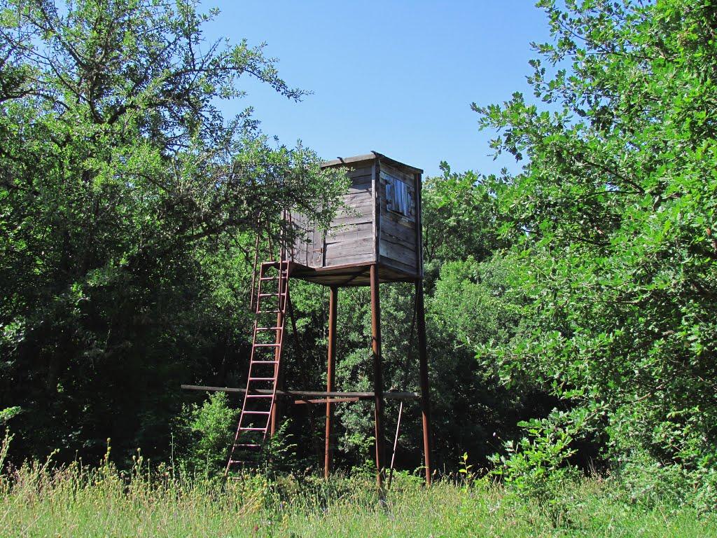 Резервне з panoramio.com (ч.4) - Резервное