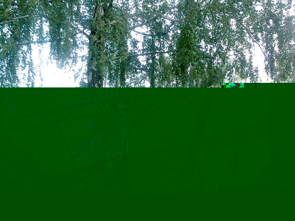 Миронівка з panoramio.com - Миронівка