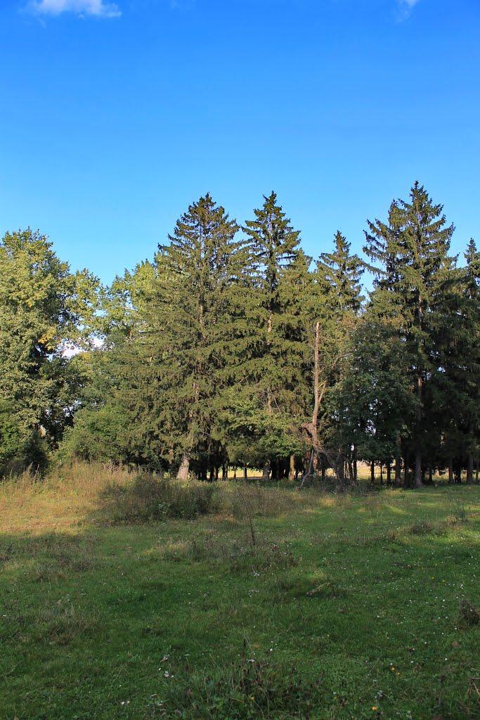 Новофастів з panoramio.com - Новофастів