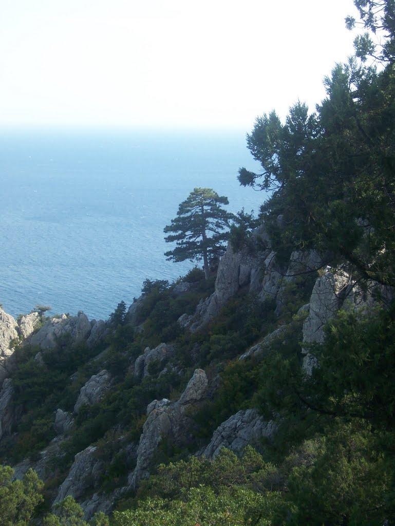 Голуба Затока з panoramio.com (ч.2) - Голуба Затока