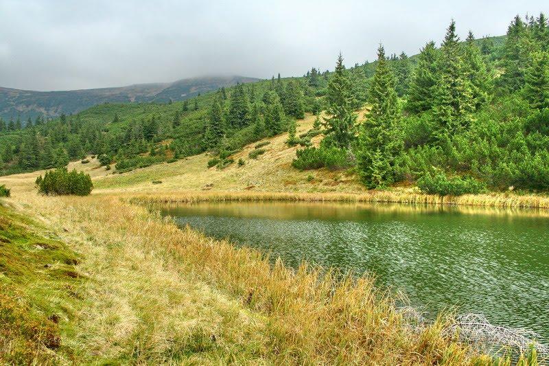 Говерла з panoramio.com (ч.2) - Говерла