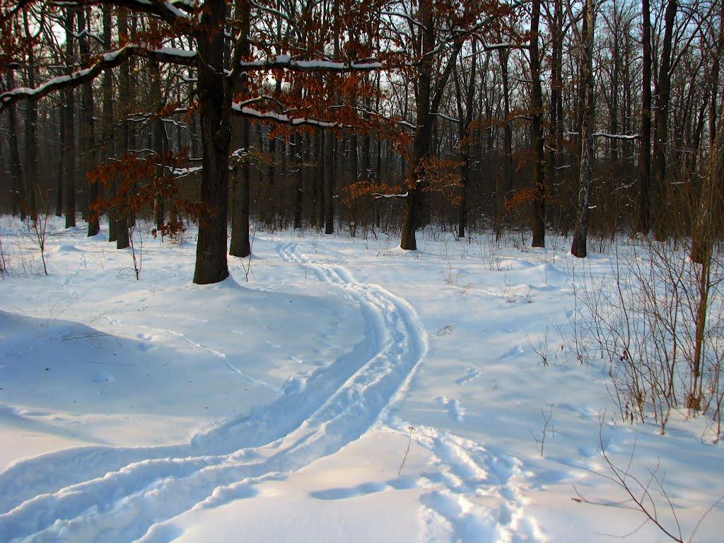 Волиця з panoramio.com - Волица