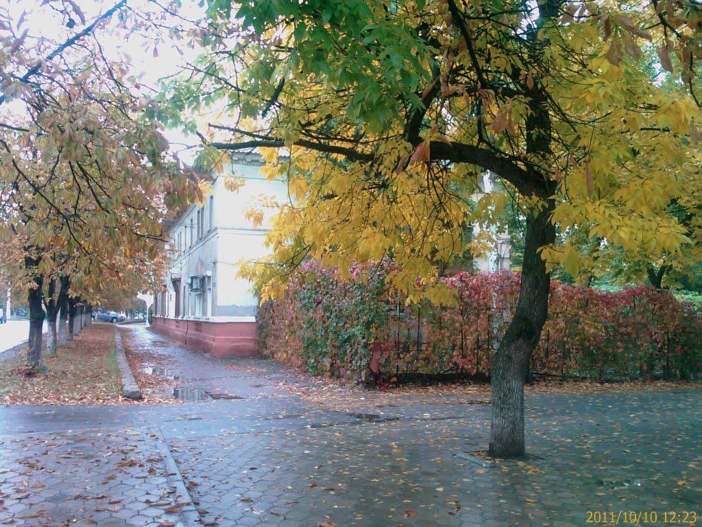 Маріуполь з panoramio.com (ч.6) - Мариуполь
