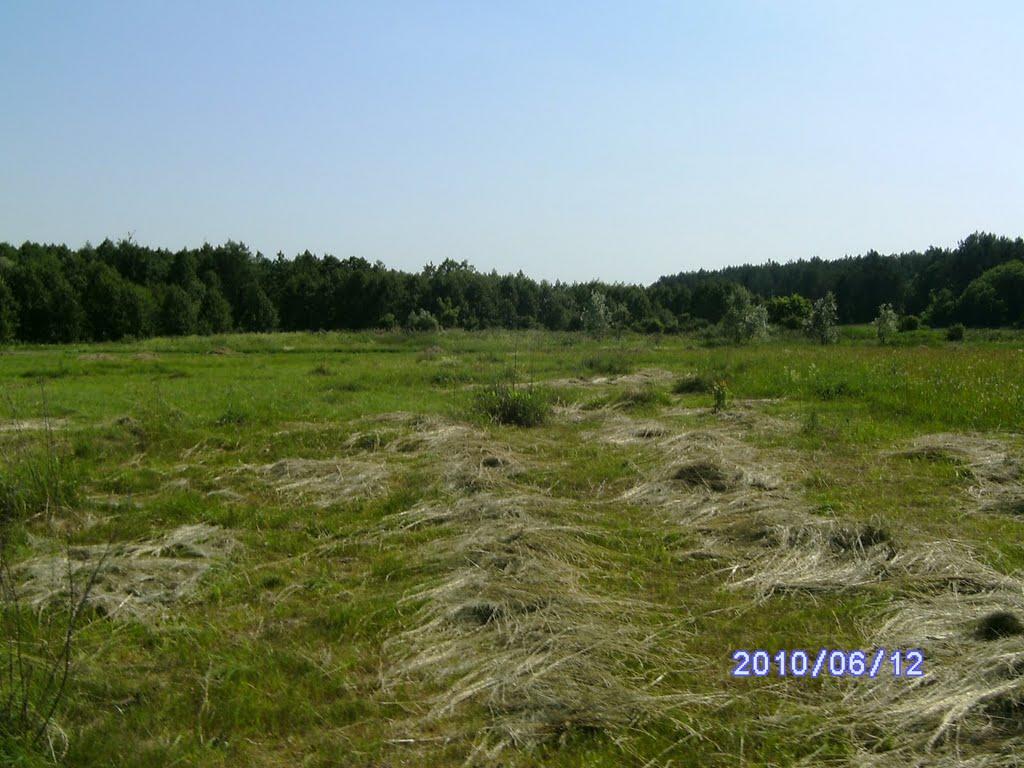 Глухів з panoramio.com - Глухів