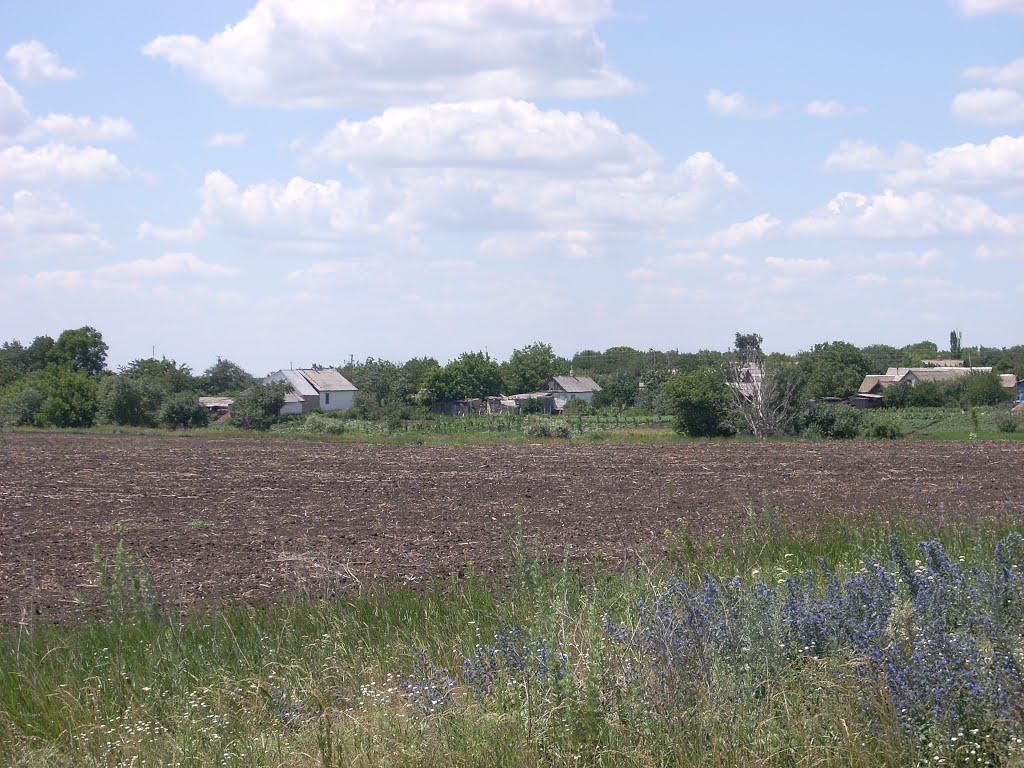 Лози з panoramio.com - Лозы
