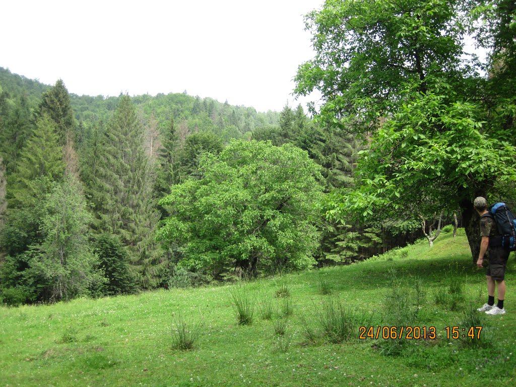 Хорови з panoramio.com - Хорови