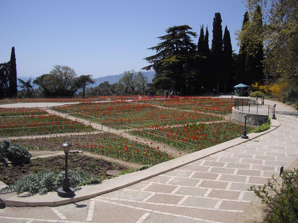 Нікіта з panoramio.com (ч.2) - Нікіта