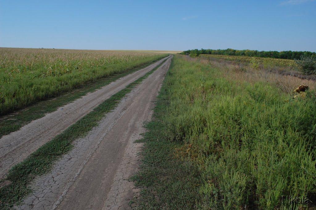 Співаківка з panoramio.com - Спеваковка