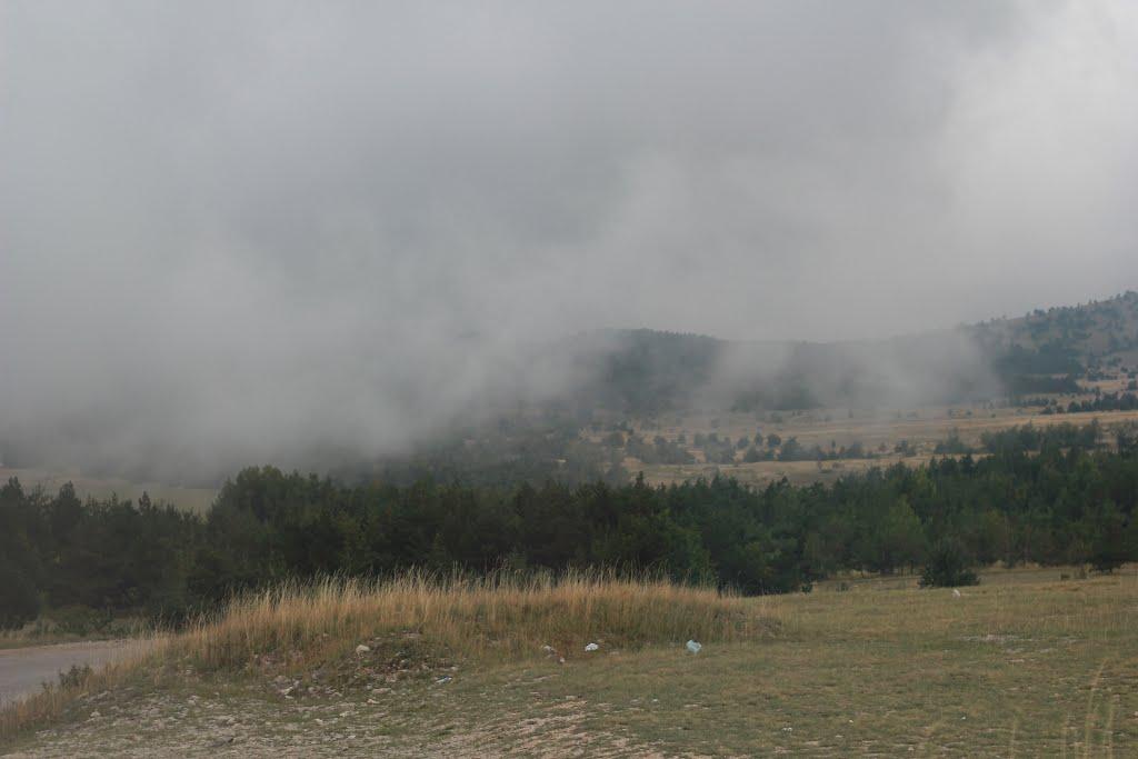 Алупка з panoramio.com (ч.3) - Alupka