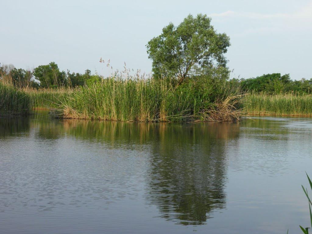 Чечеліївка з panoramio.com - Чечеліївка