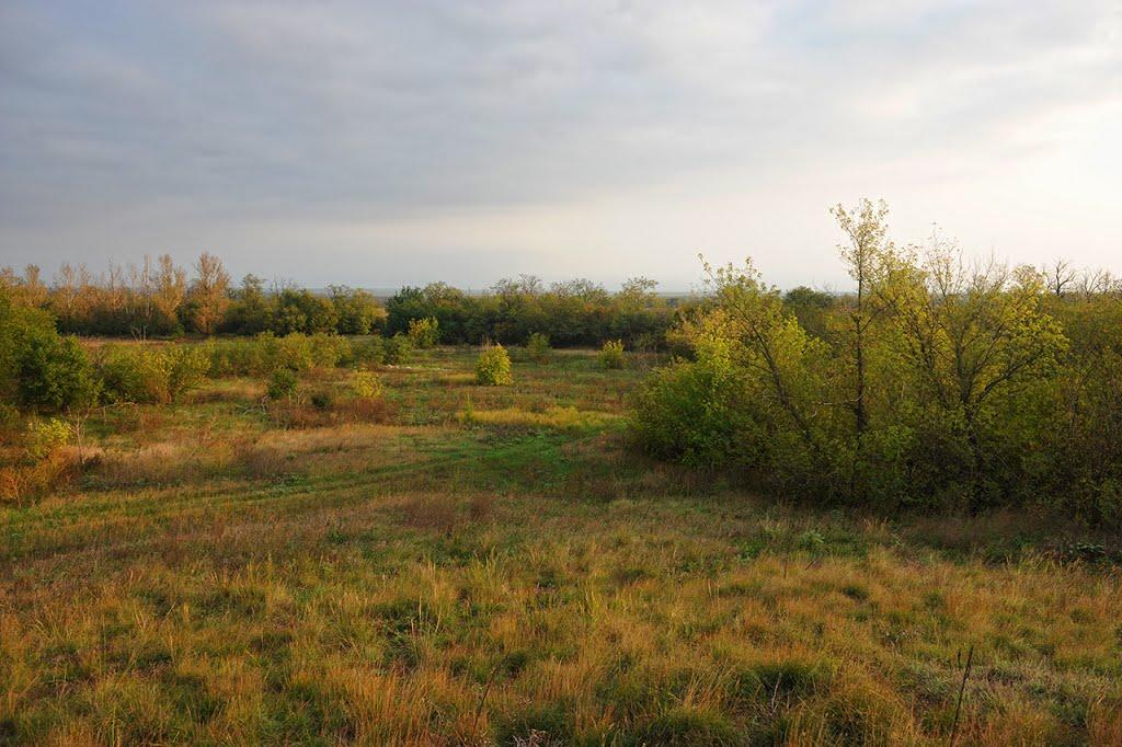 Миколаївка з panoramio.com - Николаевка